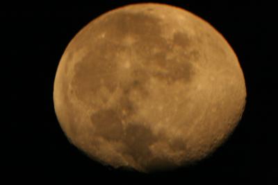 img_7261.jpg